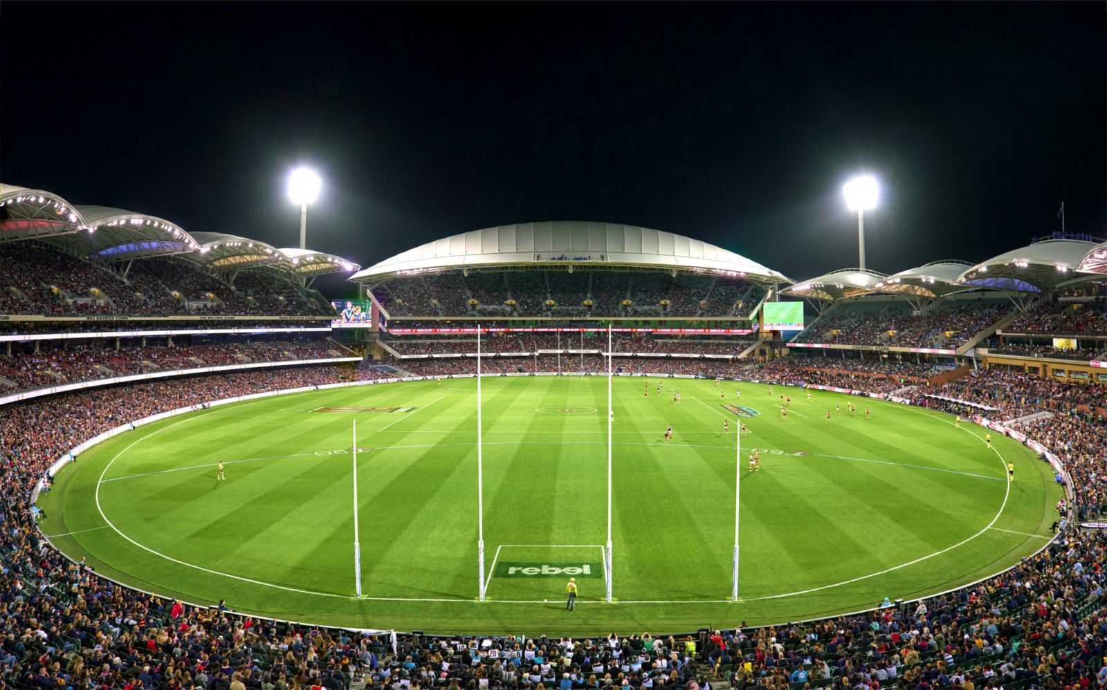 AFL Fantasy 2023: Round 5 Adelaide vs Carlton