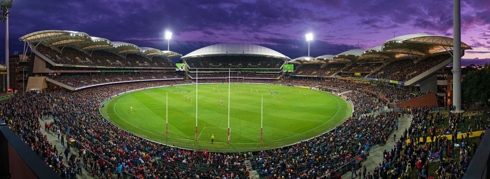 AFL Fantasy 2023: Round 11 Sunday