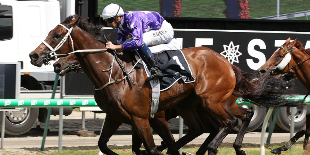 Fantasy Horse Racing Tips: Saturday June 22nd 2019