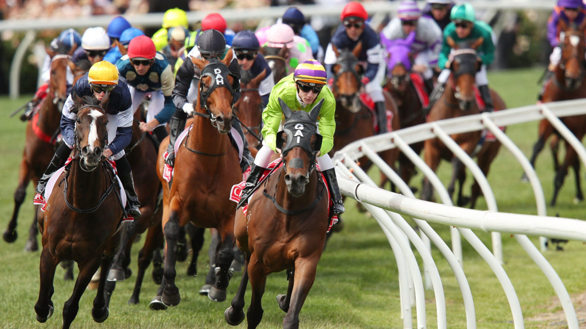 "The Swoopers" SportChamps Melbourne Cup Day 05-11-19
