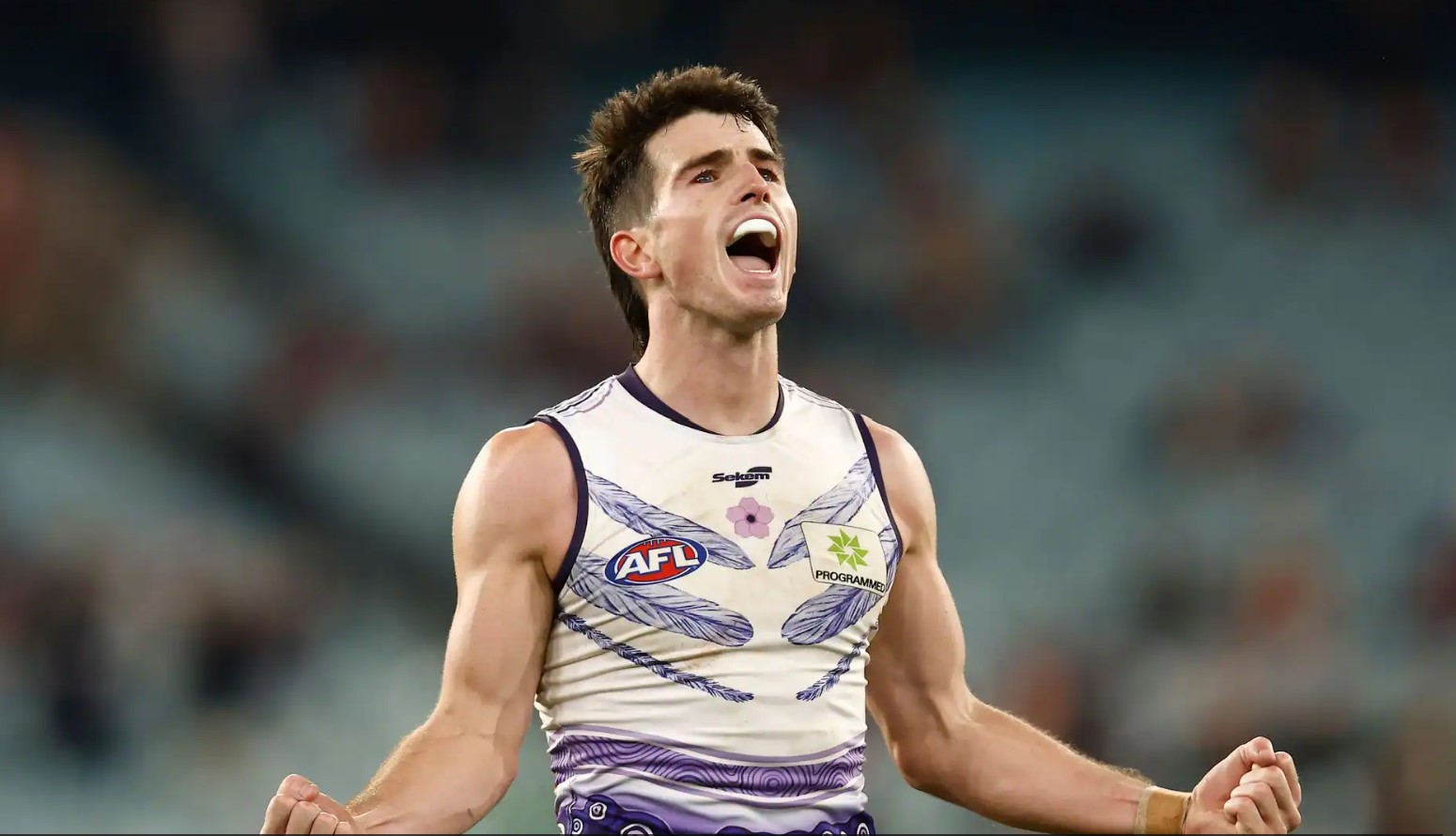 AFL 2022 Daily Fantasy Tips: Round 19 Friday