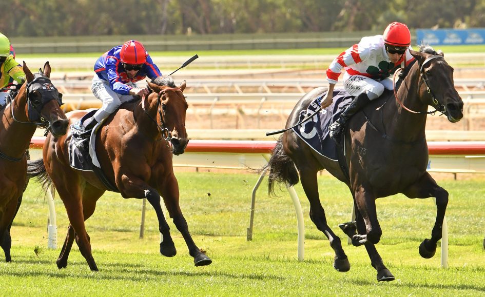 "The Swoopers" SportChamps Zipping Classic Day