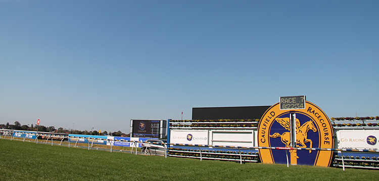 Fantasy Horse Racing Tips: Saturday January 26th 2019