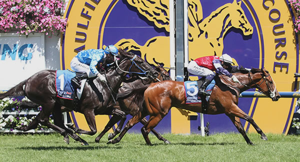 Blue Diamond Stakes Day $30,000 Tournament at TopBetta