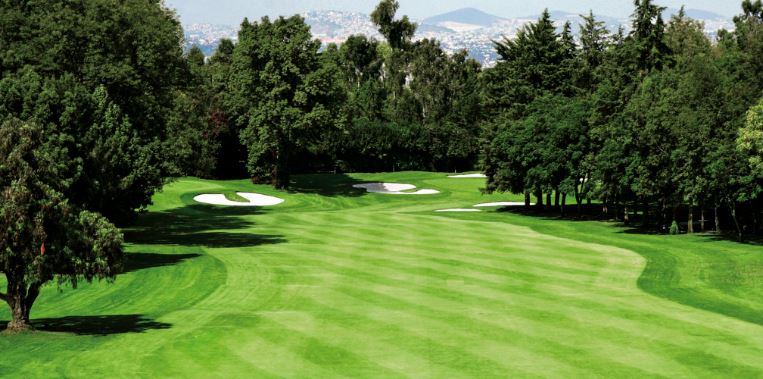 Golf Daily Fantasy Tips: 2019 WGC Mexico Championship