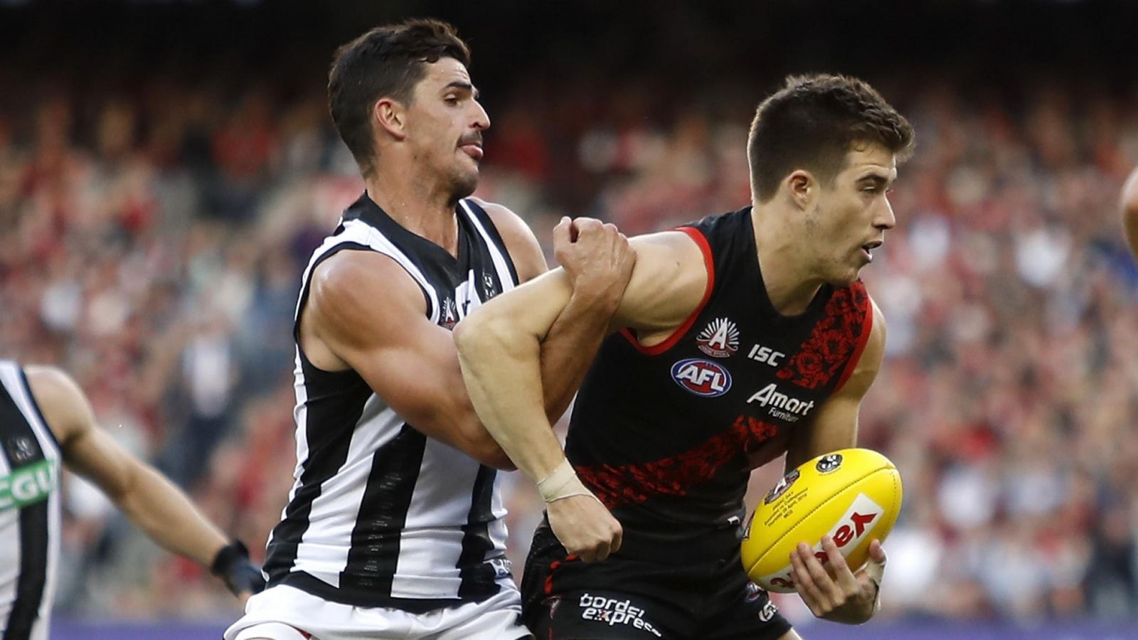 AFL 2019 Fantasy Tips: Round 23 Collingwood vs Essendon