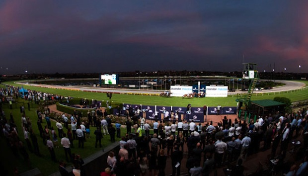 "The Swoopers" Sportchamps Friday Night Mooney Valley Racing