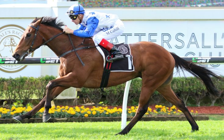 Fantasy Horse Racing Tips: Saturday May 25th 2019