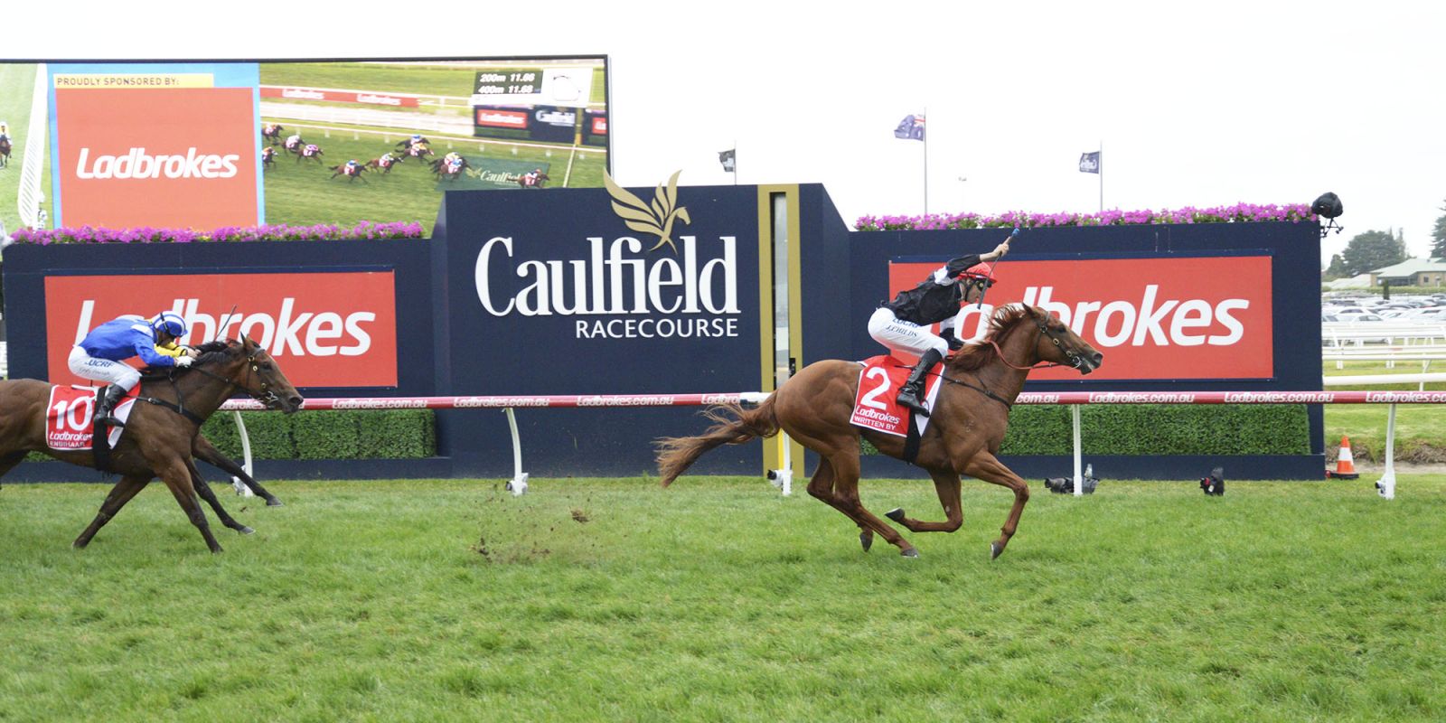 Fantasy Horse Racing Tips: Saturday February 23rd 2019
